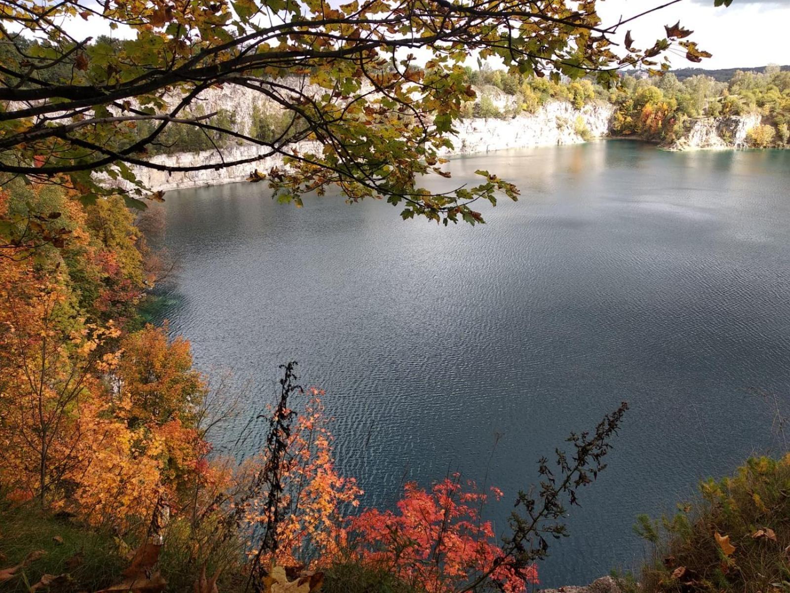 Greenthumb Praska Krakow Bagian luar foto
