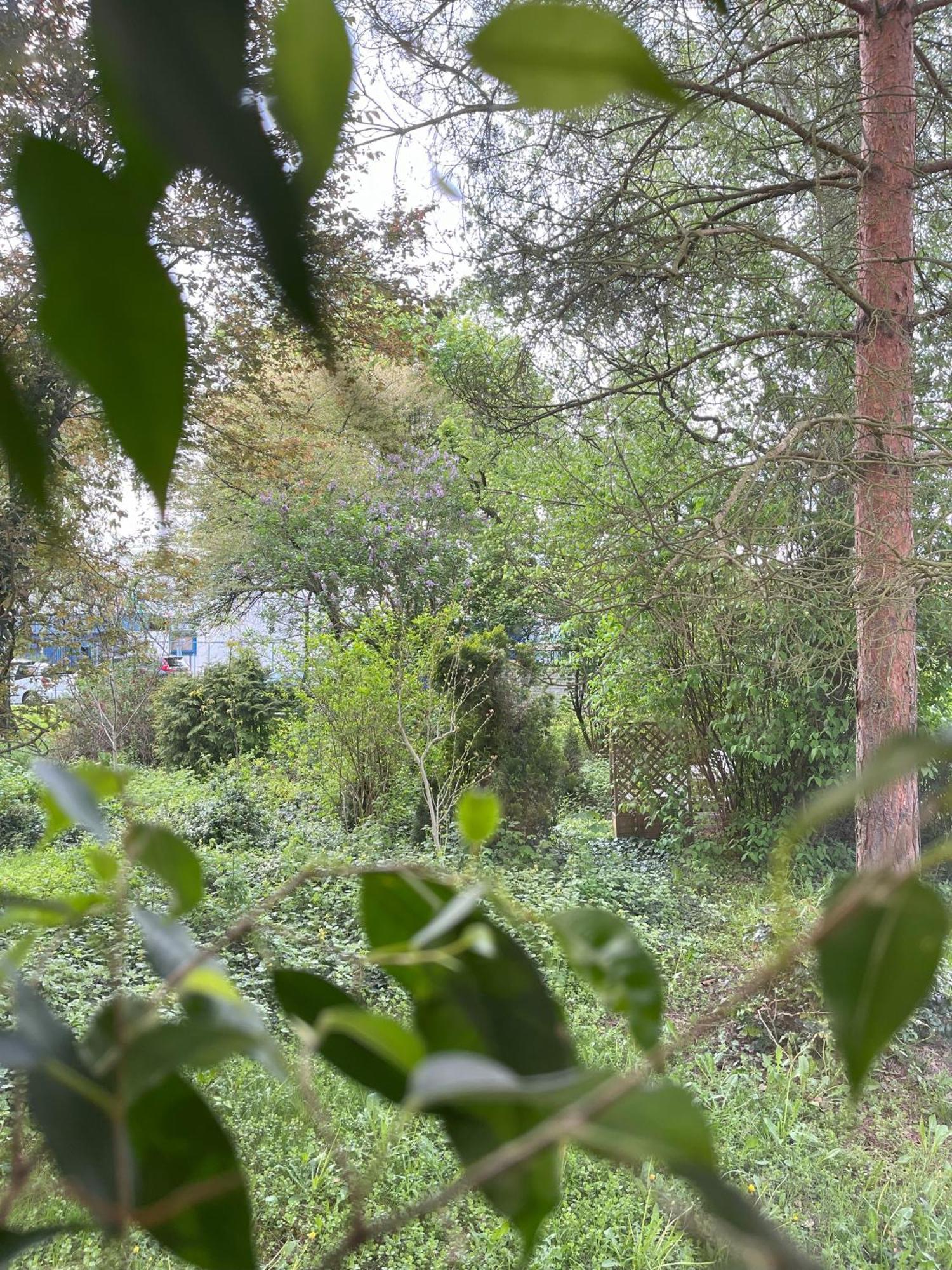 Greenthumb Praska Krakow Bagian luar foto