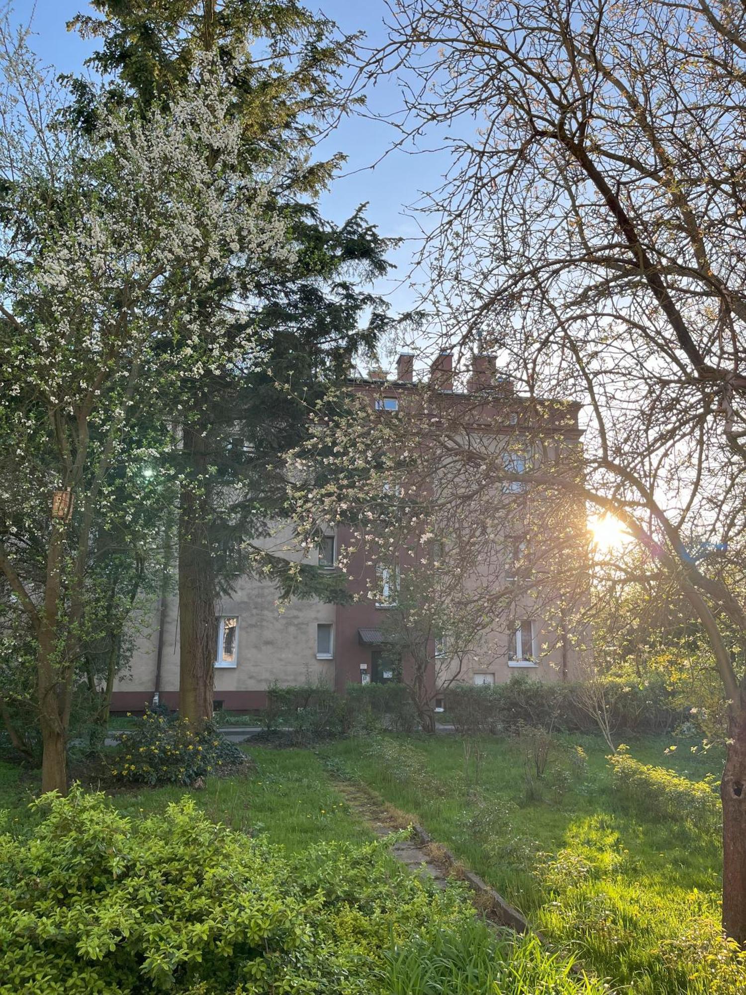 Greenthumb Praska Krakow Bagian luar foto