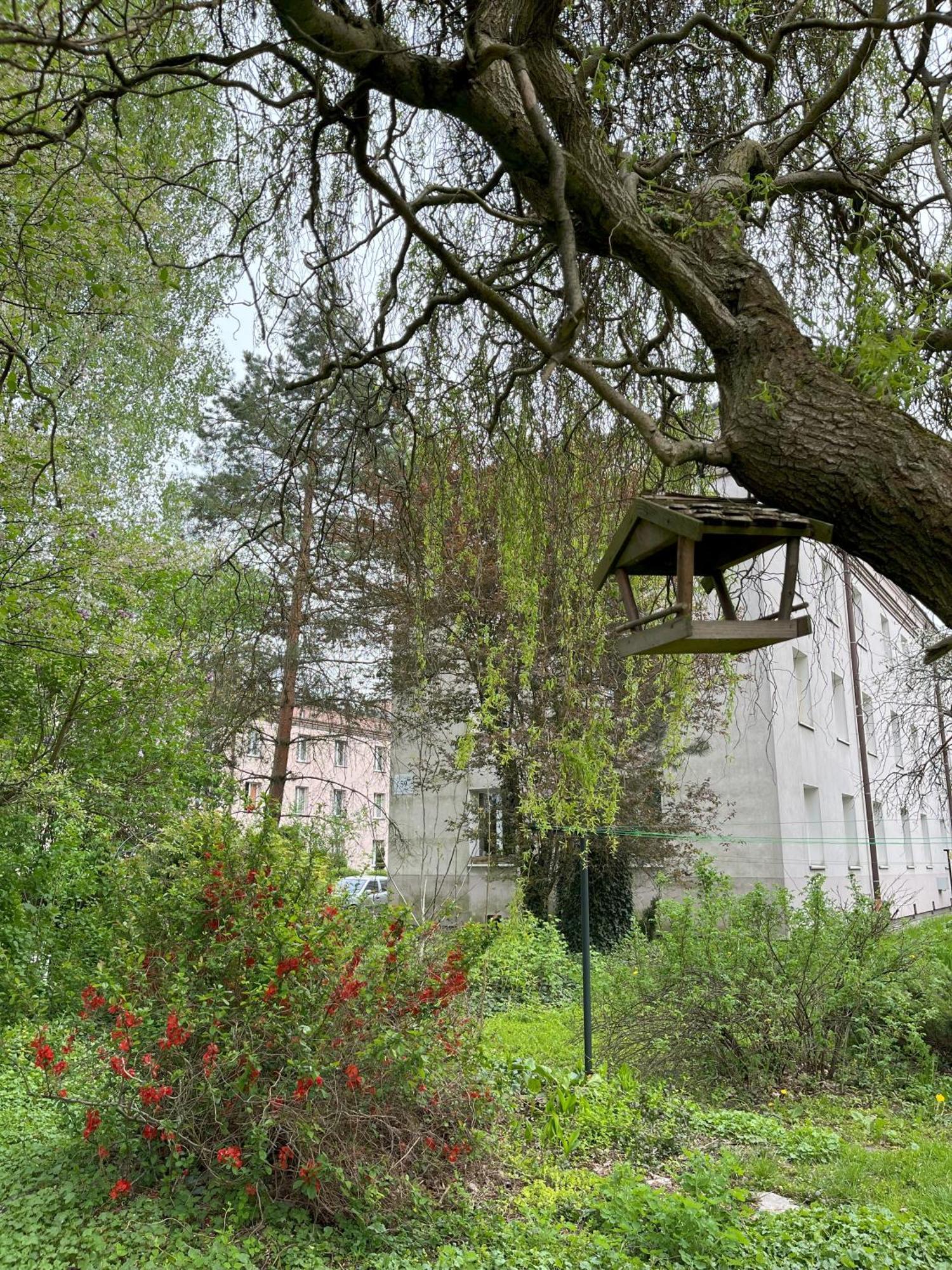 Greenthumb Praska Krakow Bagian luar foto