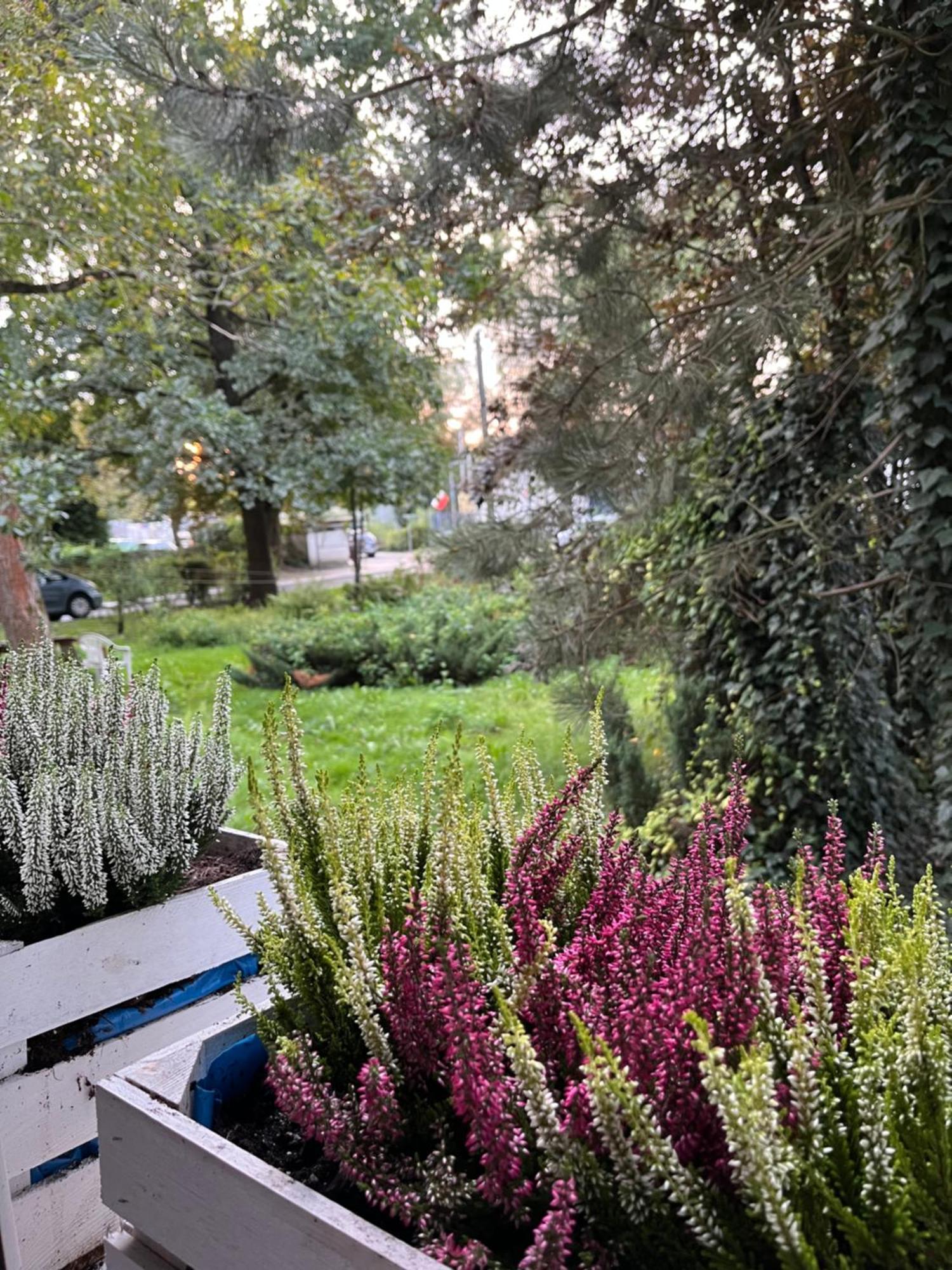 Greenthumb Praska Krakow Bagian luar foto